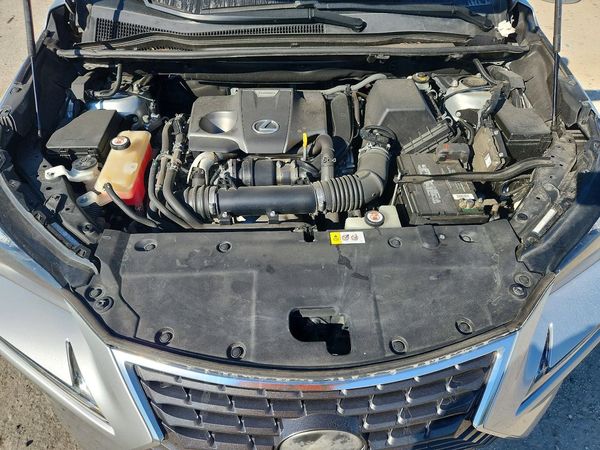 2018 LEXUS NX 300 300 Luxury