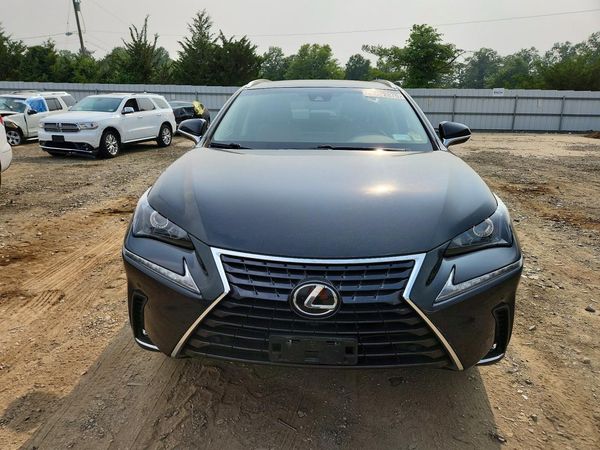 2019 LEXUS NX 300 300 Luxury