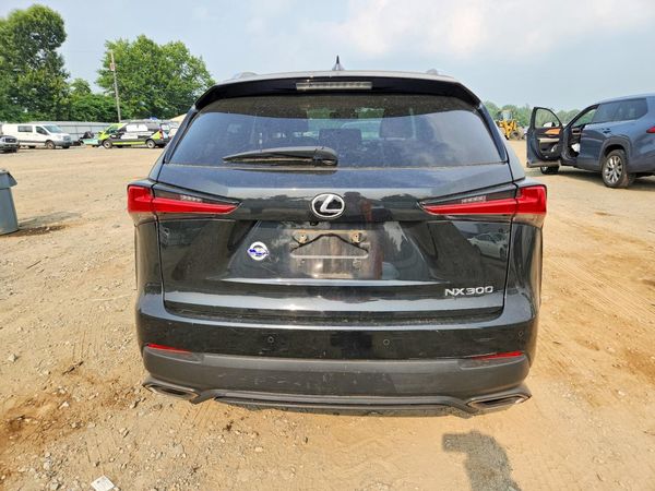 2019 LEXUS NX 300 300 Luxury