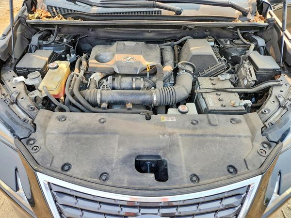 2019 LEXUS NX 300 300 Luxury