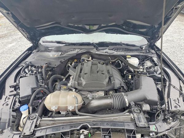 2020 FORD MUSTANG I4 Convertible