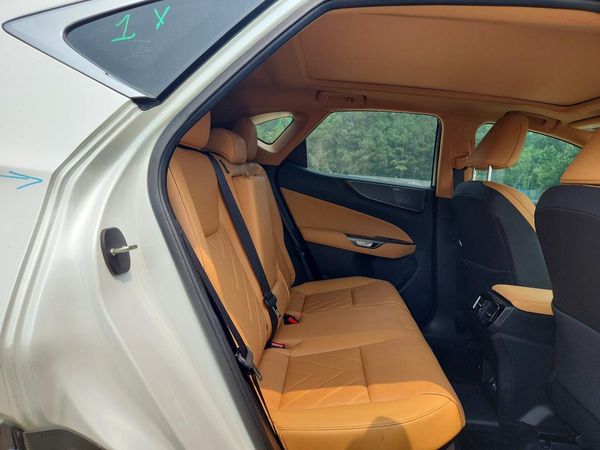 2025 LEXUS NX 450H+ 450h+ Luxury — PSRS