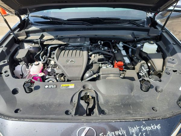 2025 LEXUS TX 350