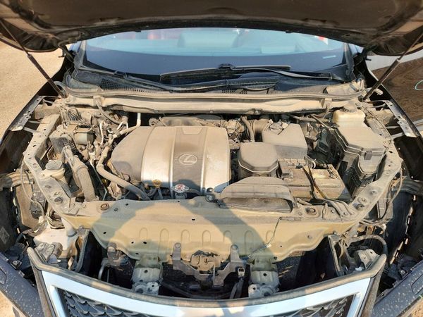 2018 LEXUS RX 350/350 F Sport