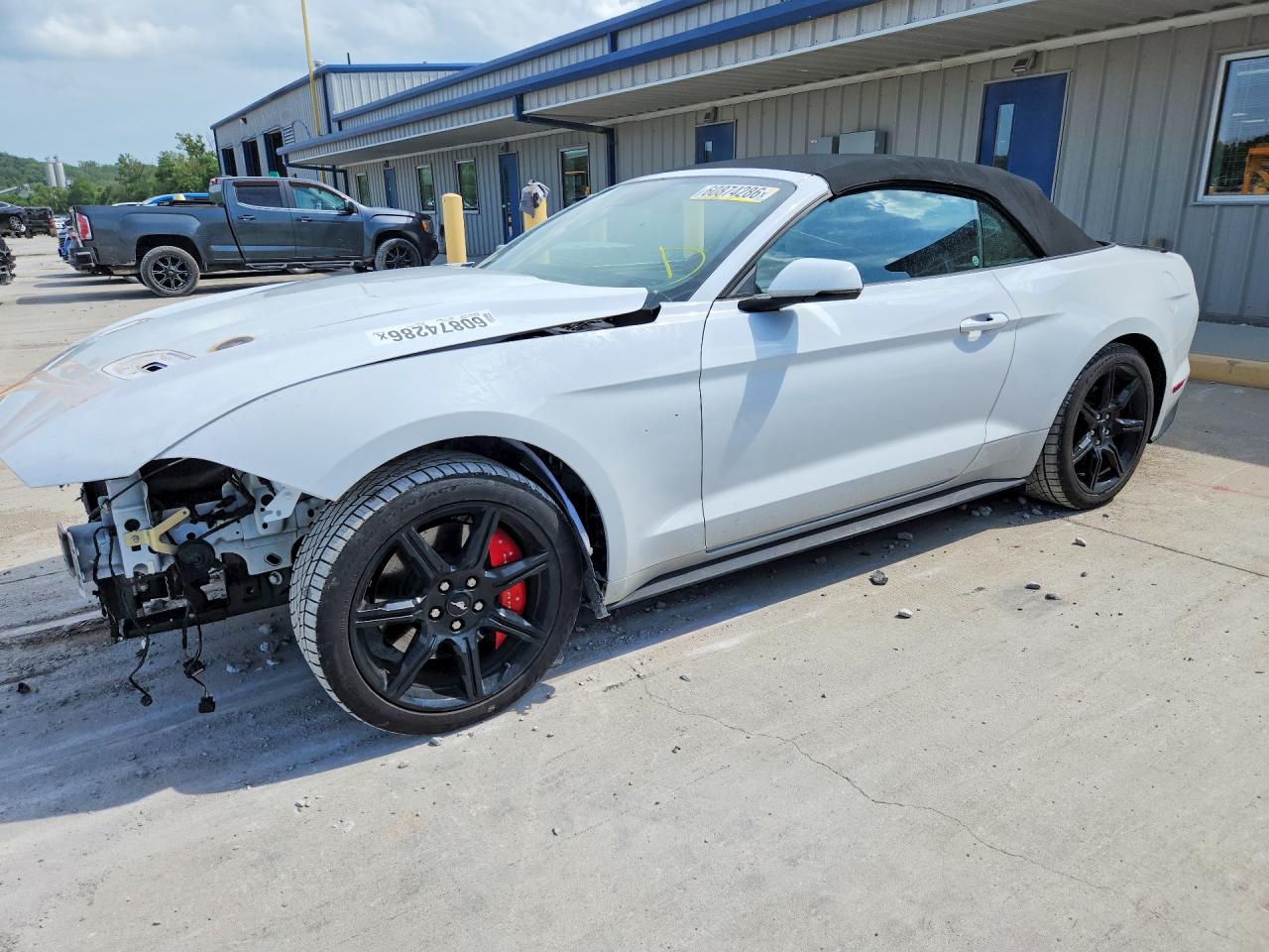 2019 FORD MUSTANG