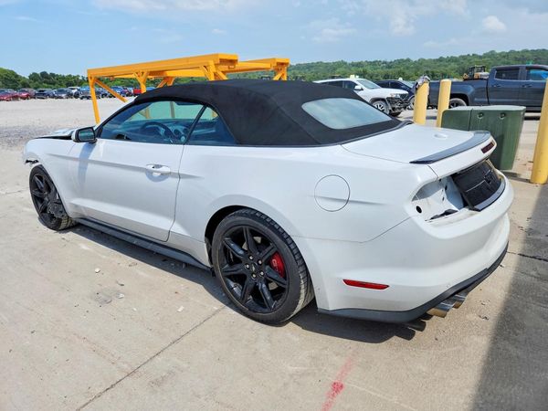 2019 FORD MUSTANG