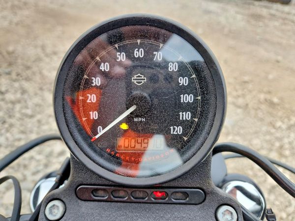 2019 HARLEY-DAVIDSON XL883