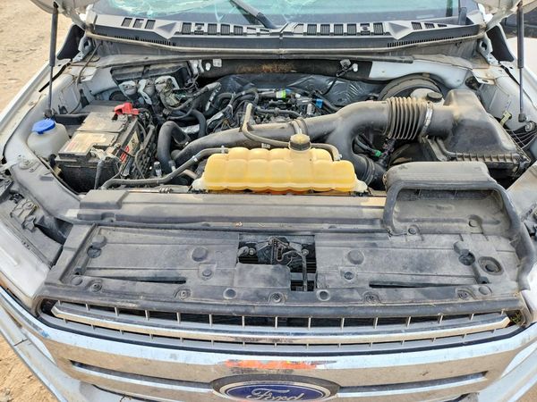 2019 FORD F150