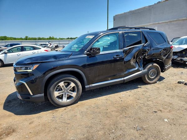 2025 HONDA PILOT EX-L, EX-L HPD