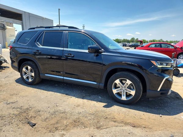2025 HONDA PILOT EX-L, EX-L HPD