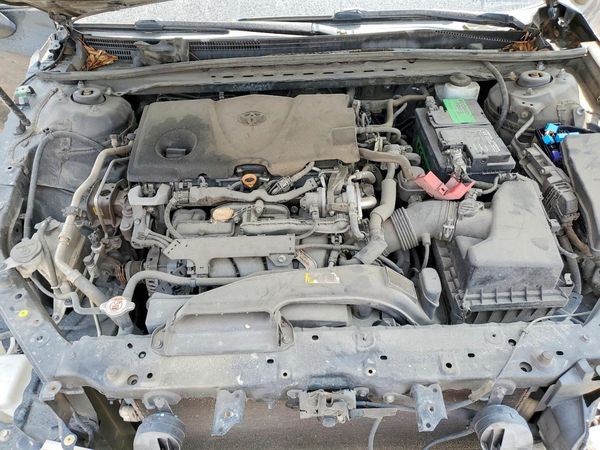 2019 TOYOTA CAMRY L/LE/SE/XLE