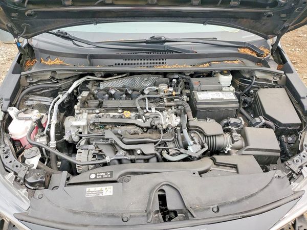 2023 TOYOTA COROLLA