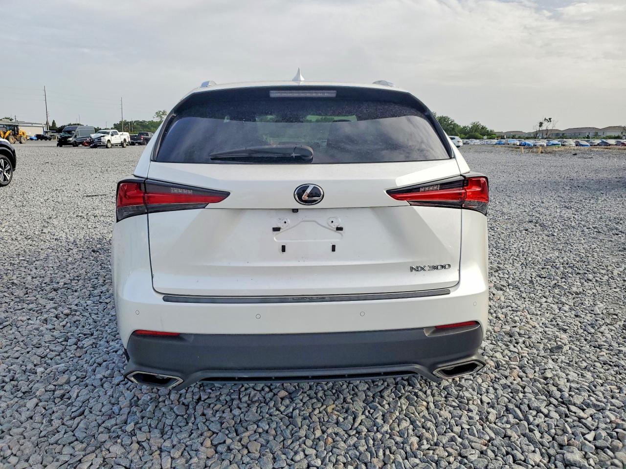 2020 LEXUS NX 300 Comfort
