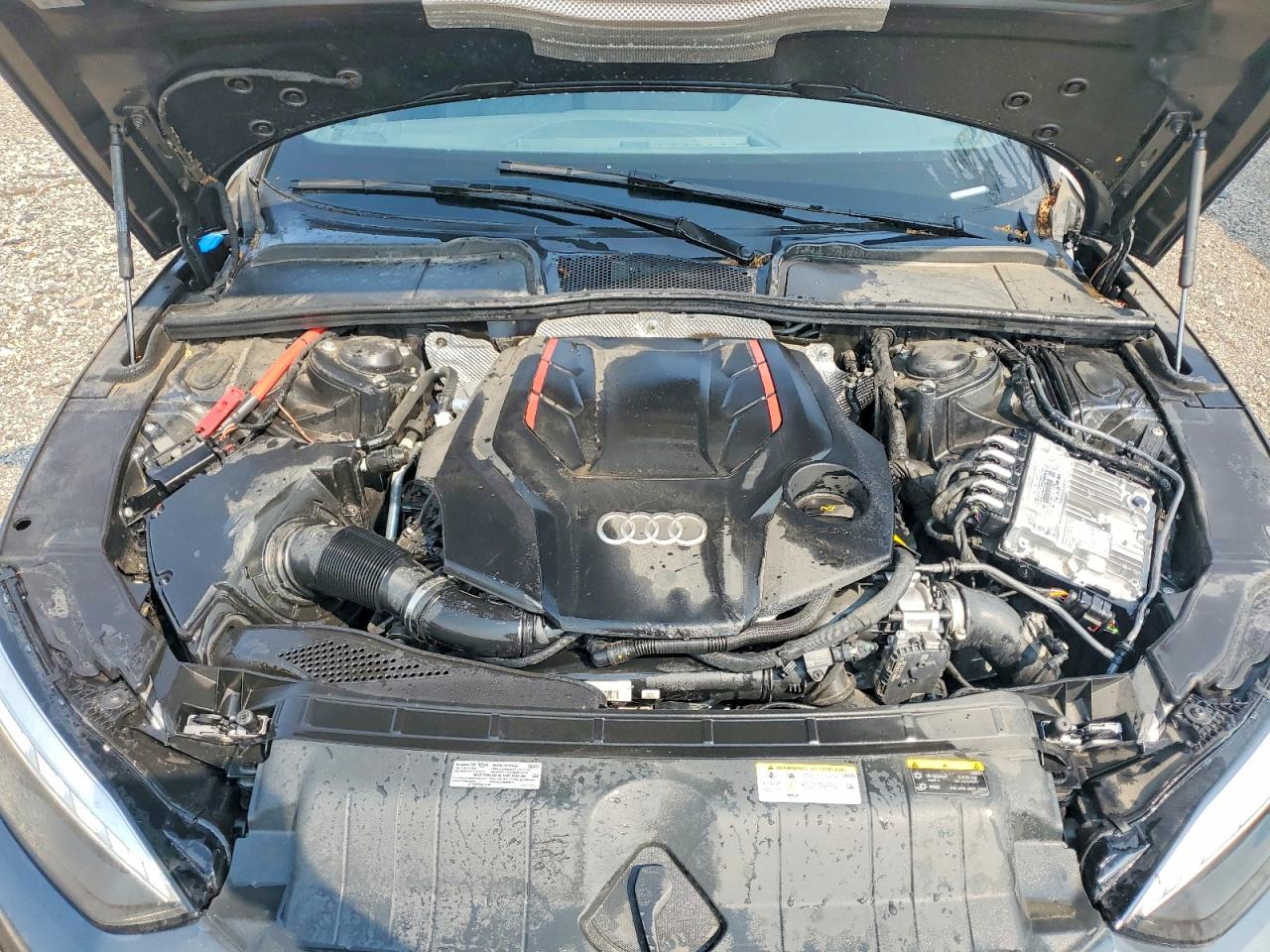 2024 AUDI S5 quattro Premium Plus