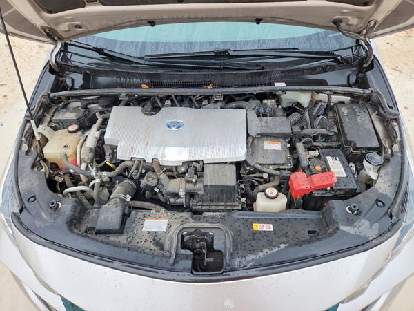 2019 TOYOTA PRIUS Plus/Premium/Advanced