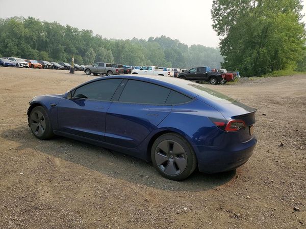 2019 TESLA MODEL 3