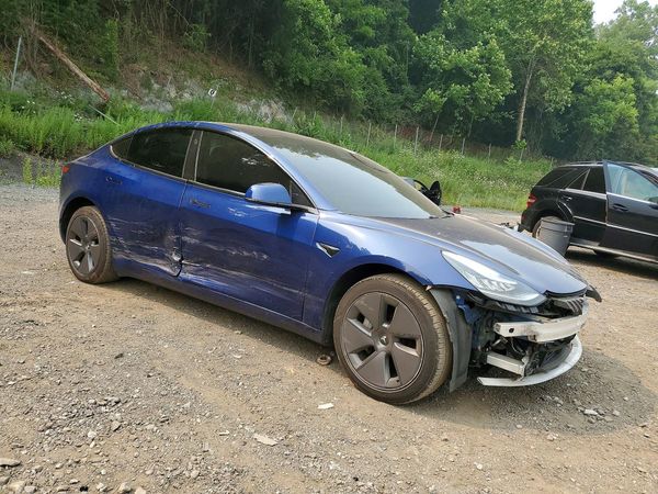 2019 TESLA MODEL 3