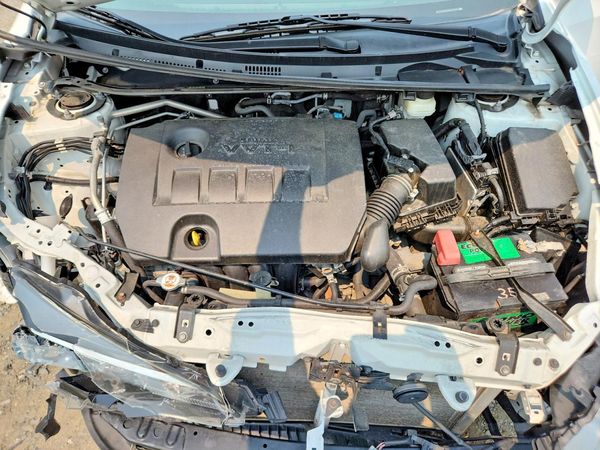 2019 TOYOTA COROLLA L/LE/SE/XLE/XSE