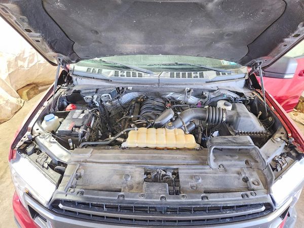 2019 FORD F150