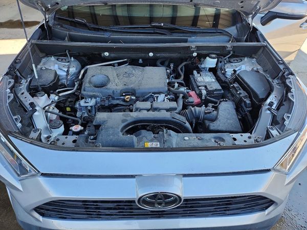 2019 TOYOTA RAV4 XLE / XLE Premium 4WD