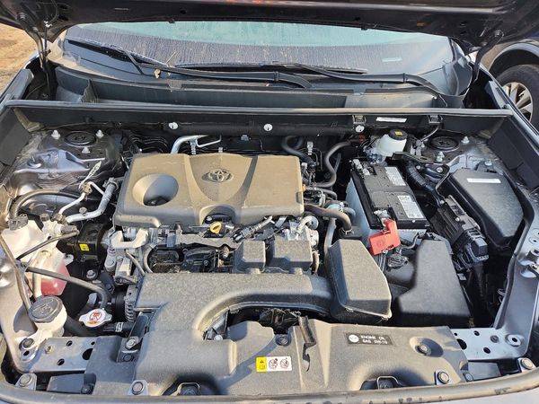 2024 TOYOTA RAV4 LE