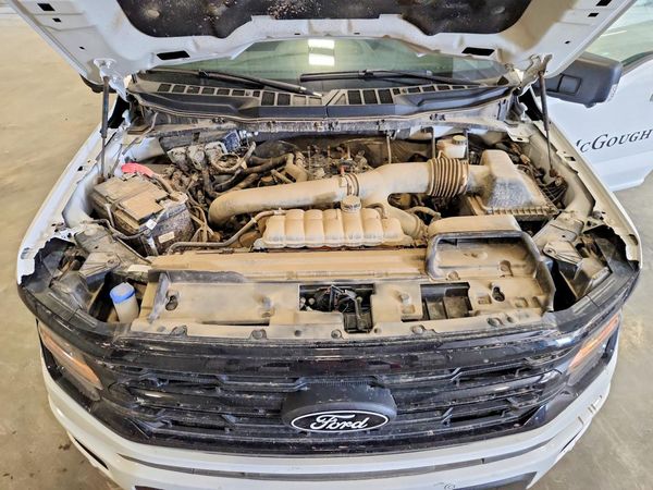 2024 FORD F150