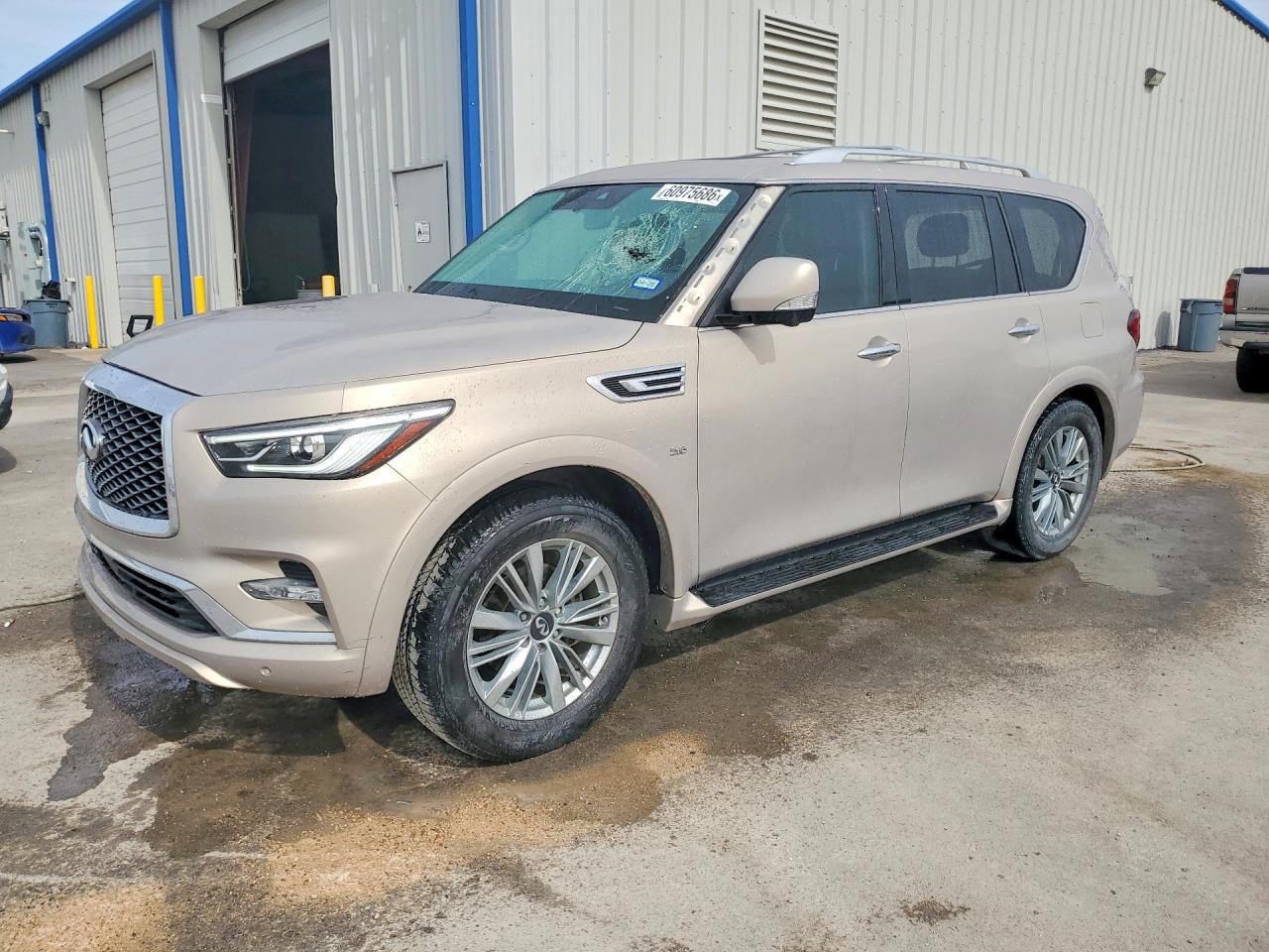 2019 INFINITI QX80