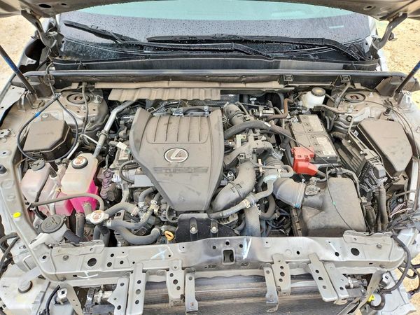 2024 LEXUS NX 350