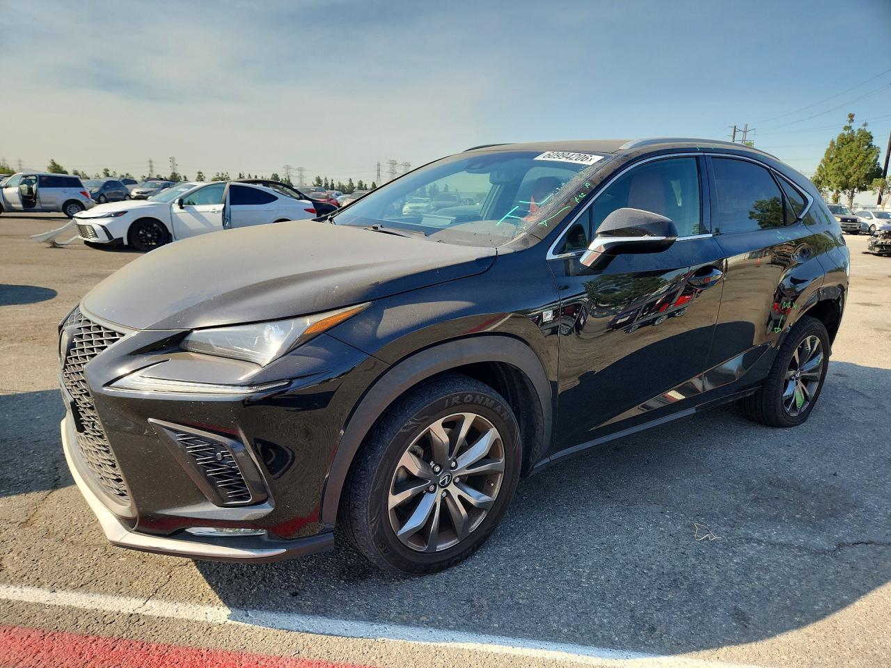 2019 LEXUS NX 300 300 Luxury