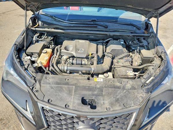 2019 LEXUS NX 300 300 Luxury