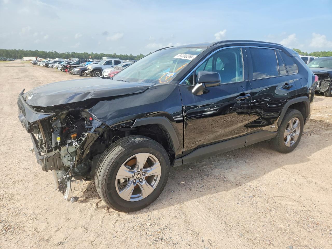 2025 TOYOTA RAV4 LE