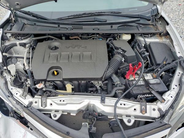 2019 TOYOTA COROLLA L/LE/SE/XLE/XSE