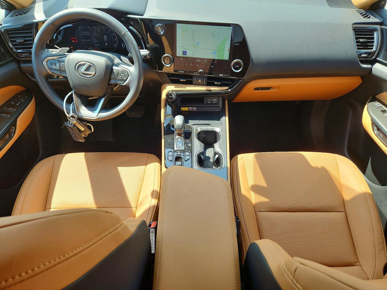 2025 LEXUS NX 350 350 Base