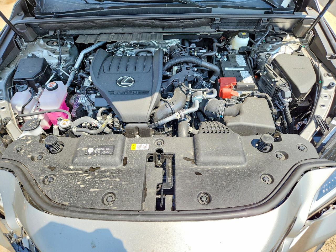 2025 LEXUS NX 350 350 Base