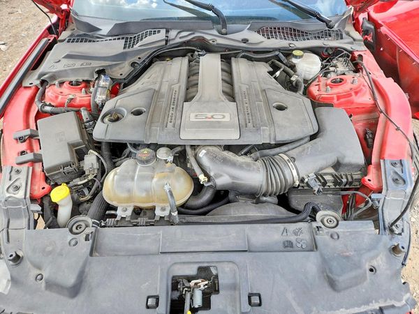 2019 FORD MUSTANG GT Coupe