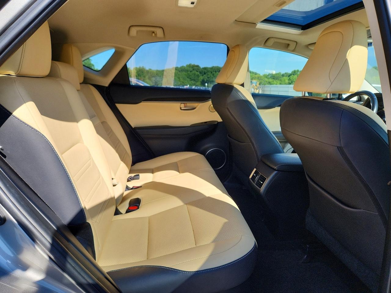 2016 LEXUS NX 300h Luxury