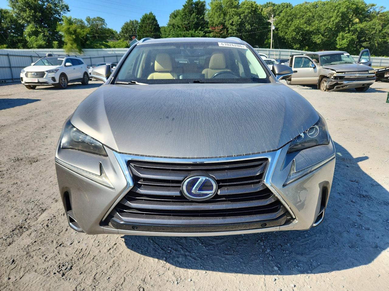 2016 LEXUS NX 300h Luxury