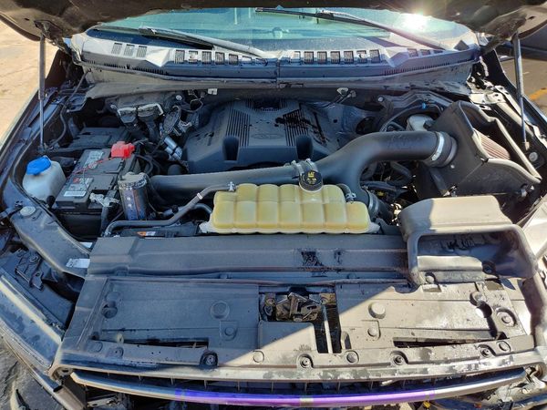 2019 FORD F150