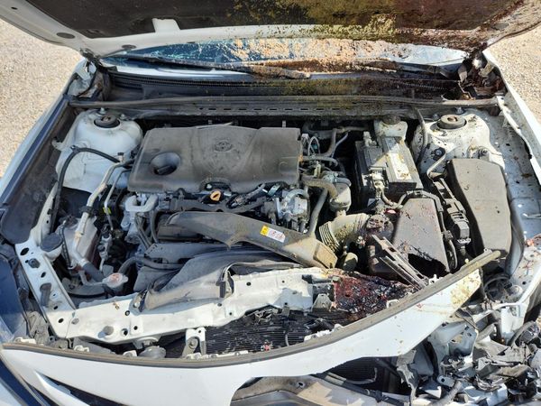 2021 TOYOTA CAMRY