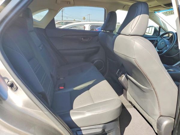 2019 LEXUS NX 300 300 Luxury