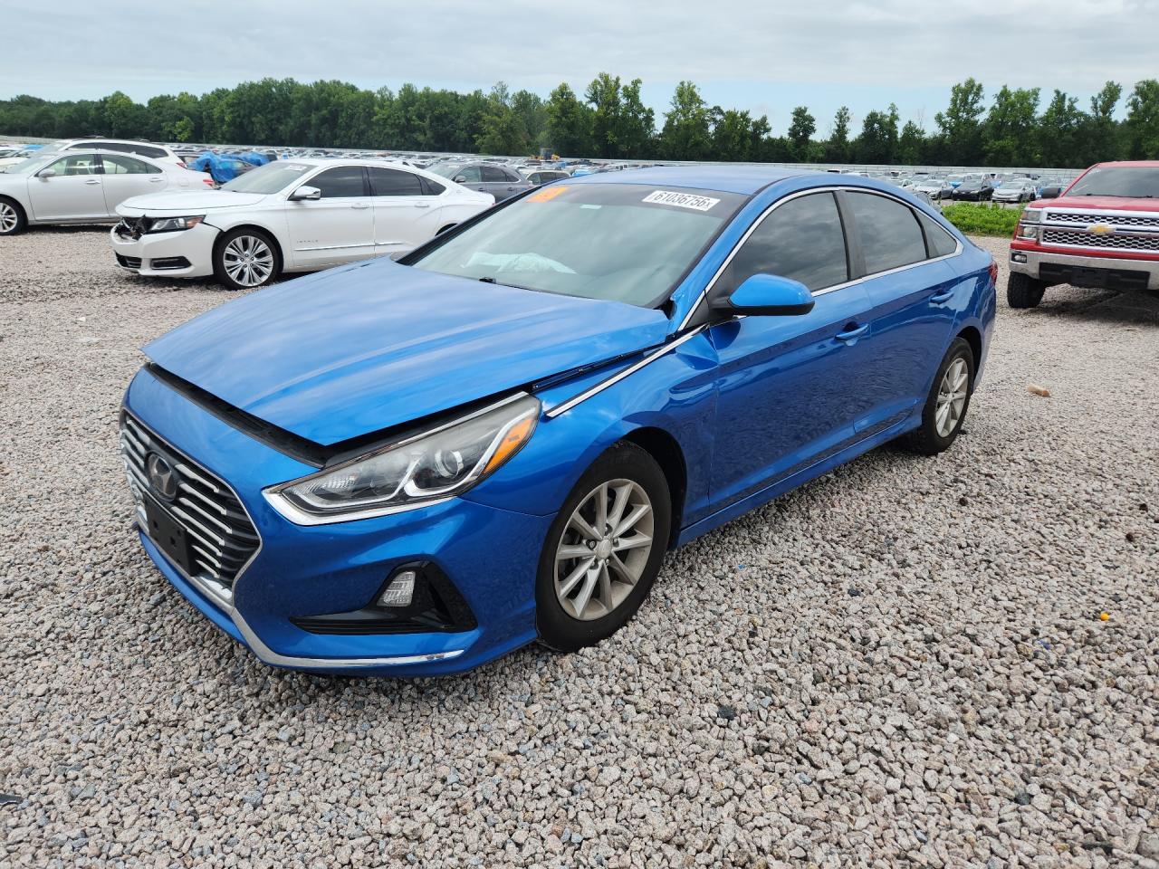 2019 HYUNDAI SONATA Eco Turbo, SE