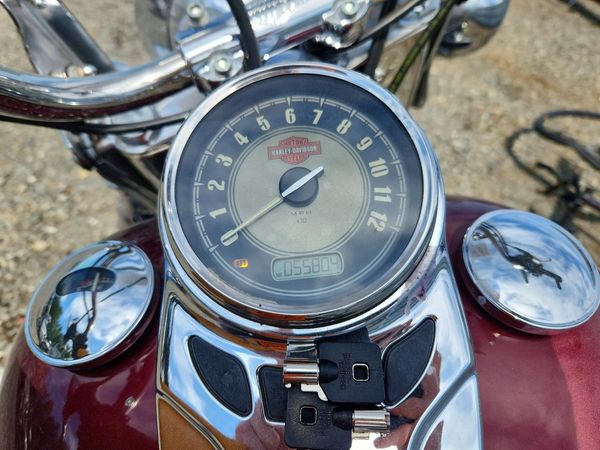 2015 HARLEY-DAVIDSON FL