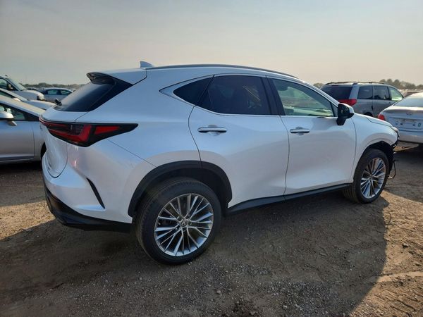 2022 LEXUS NX 350 Luxury