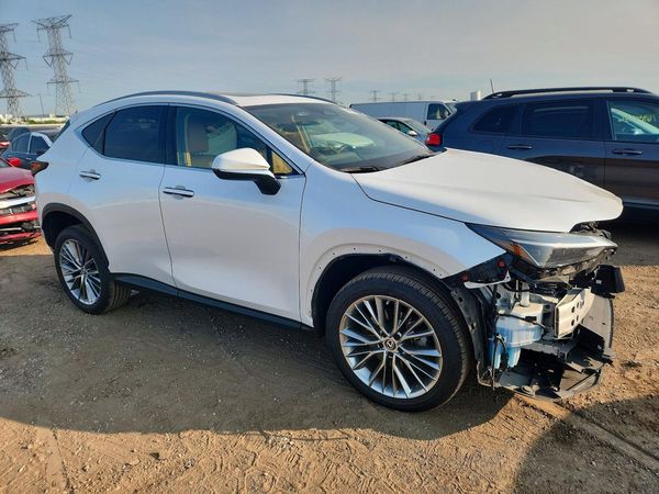 2022 LEXUS NX 350 Luxury