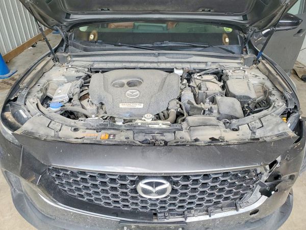 2023 MAZDA CX-50 Premium Plus Package