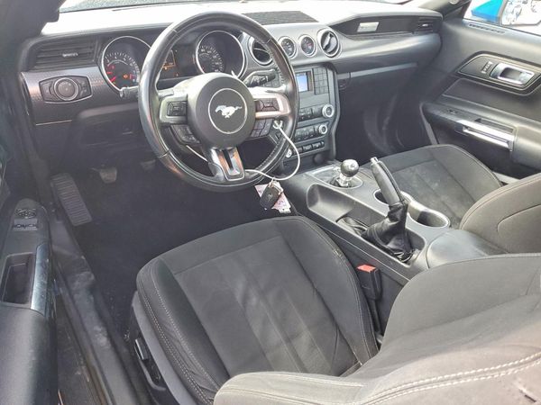 2019 FORD MUSTANG