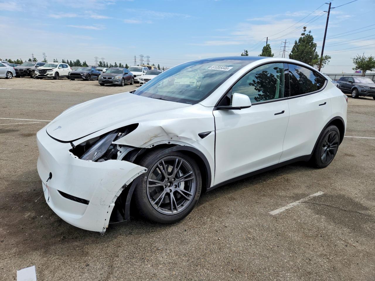 2024 TESLA MODEL Y