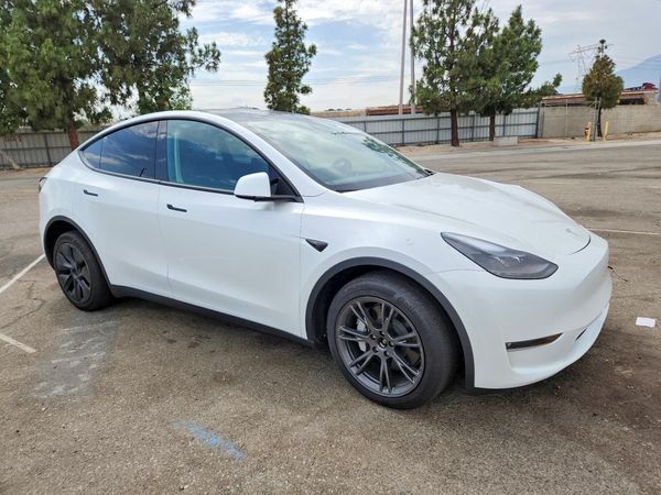 2024 TESLA MODEL Y