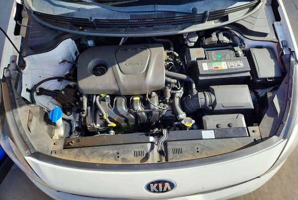 2019 KIA RIO