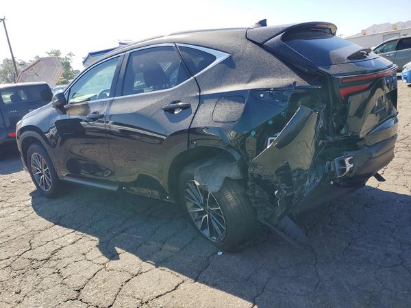2025 LEXUS NX 350H 350h Premium